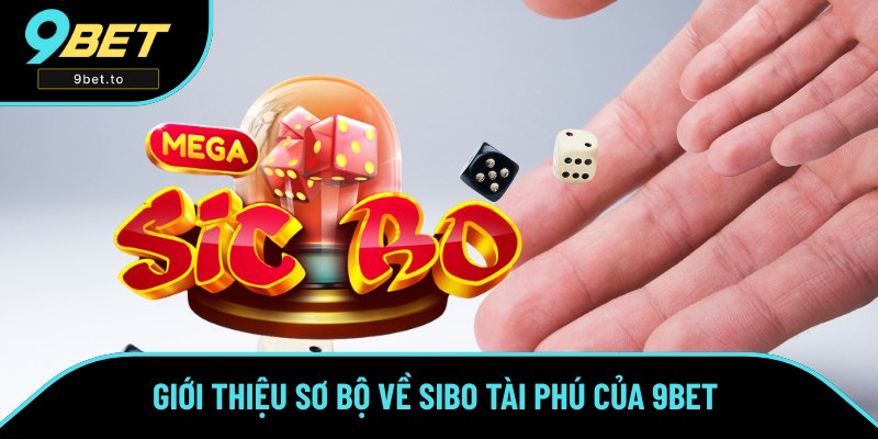 Những thông tin sơ lược về sản phẩm Tài Xỉu đình đám Những thông tin sơ lược về sản phẩm Tài Xỉu đình đám