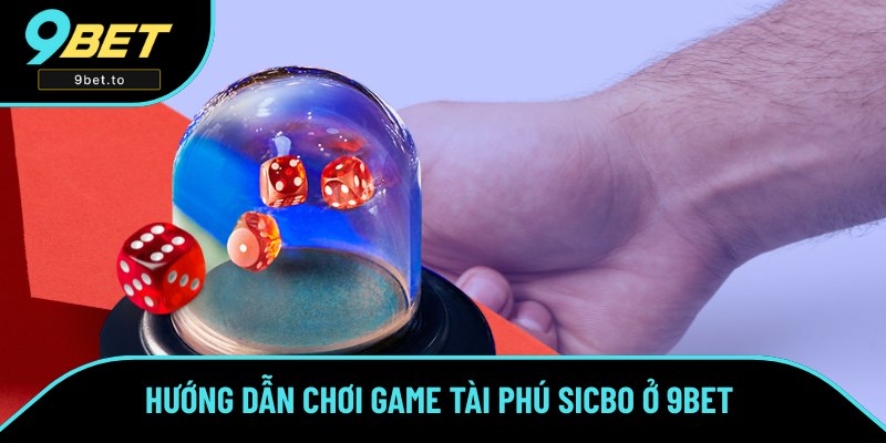 Tham gia chơi game Sicbo Tài Phú ngay tại thềm 9BET Tham gia chơi game Sicbo Tài Phú ngay tại thềm 9BET