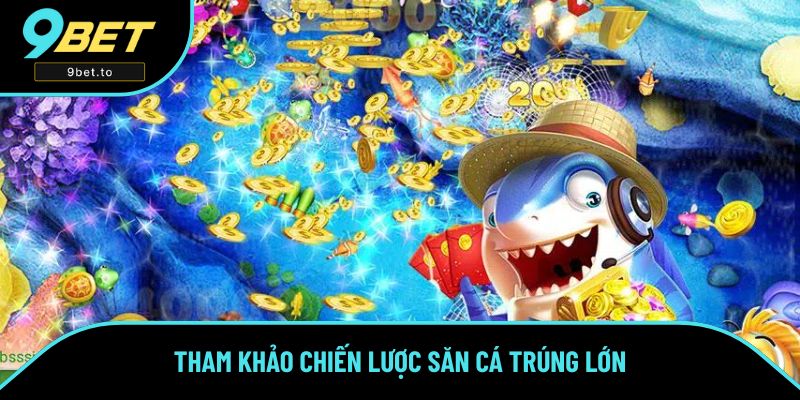 Tham khảo chiến lược săn cá trúng lớn Tham khảo chiến lược săn cá trúng lớn